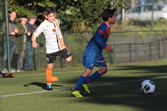 HBC Voetbal • <a style="font-size:0.8em;" href="http://www.flickr.com/photos/151401055@N04/48777429151/" target="_blank">View on Flickr</a>