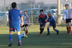 HBC Voetbal • <a style="font-size:0.8em;" href="http://www.flickr.com/photos/151401055@N04/48777430406/" target="_blank">View on Flickr</a>