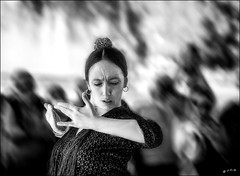 Vivre le Flamenco!  /  Live flamenco dance!