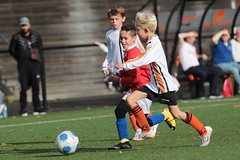HBC Voetbal • <a style="font-size:0.8em;" href="http://www.flickr.com/photos/151401055@N04/48815861983/" target="_blank">View on Flickr</a>