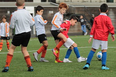 HBC Voetbal • <a style="font-size:0.8em;" href="http://www.flickr.com/photos/151401055@N04/48815863648/" target="_blank">View on Flickr</a>