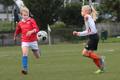 HBC Voetbal al • <a style="font-size:0.8em;" href="http://www.flickr.com/photos/151401055@N04/48815878703/" target="_blank">View on Flickr</a>