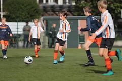 HBC Voetbal • <a style="font-size:0.8em;" href="http://www.flickr.com/photos/151401055@N04/48815887298/" target="_blank">View on Flickr</a>