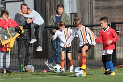 HBC Voetbal • <a style="font-size:0.8em;" href="http://www.flickr.com/photos/151401055@N04/48816374177/" target="_blank">View on Flickr</a>