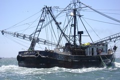 Anglų lietuvių žodynas. Žodis fishing vessel reiškia žvejybos laivo lietuviškai.