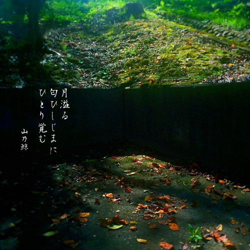 () Ђ܂ ЂƂo()ށmRT~n #haiku #photohaiku #poetry #autumn #micropoetry #H #tHgo # #ʐ^o #o
