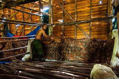 Fábrica de Tabacos a Pinar del Rio