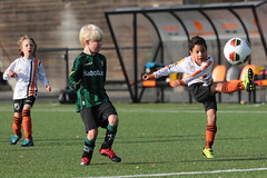 HBC Voetbal • <a style="font-size:0.8em;" href="http://www.flickr.com/photos/151401055@N04/48853258908/" target="_blank">View on Flickr</a>