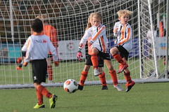 HBC Voetbal • <a style="font-size:0.8em;" href="http://www.flickr.com/photos/151401055@N04/48853261438/" target="_blank">View on Flickr</a>