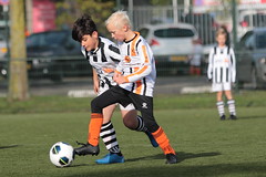 HBC Voetbal • <a style="font-size:0.8em;" href="http://www.flickr.com/photos/151401055@N04/48853277433/" target="_blank">View on Flickr</a>