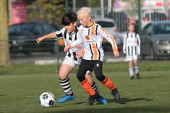 HBC Voetbal • <a style="font-size:0.8em;" href="http://www.flickr.com/photos/151401055@N04/48853277828/" target="_blank">View on Flickr</a>