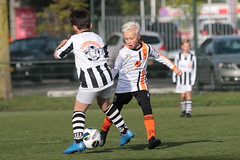 HBC Voetbal • <a style="font-size:0.8em;" href="http://www.flickr.com/photos/151401055@N04/48853278038/" target="_blank">View on Flickr</a>