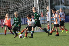 HBC Voetbal • <a style="font-size:0.8em;" href="http://www.flickr.com/photos/151401055@N04/48853618226/" target="_blank">View on Flickr</a>