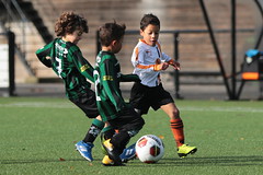 HBC Voetbal • <a style="font-size:0.8em;" href="http://www.flickr.com/photos/151401055@N04/48853621436/" target="_blank">View on Flickr</a>