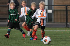 HBC Voetbal • <a style="font-size:0.8em;" href="http://www.flickr.com/photos/151401055@N04/48853626166/" target="_blank">View on Flickr</a>