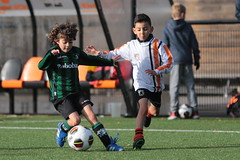 HBC Voetbal • <a style="font-size:0.8em;" href="http://www.flickr.com/photos/151401055@N04/48853810787/" target="_blank">View on Flickr</a>
