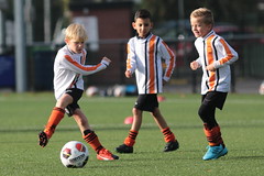 HBC Voetbal • <a style="font-size:0.8em;" href="http://www.flickr.com/photos/151401055@N04/48853811162/" target="_blank">View on Flickr</a>