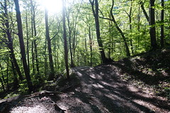 Trail from Fort du Saint-Eynard to Col de Vence @ Hike to Mont Saint-Eynard