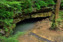 A Cave Opening Where the River Styx Flows (Mammoth Cave National Park)