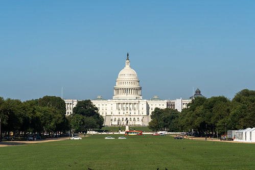 U.S Capitol, Washington D.C.