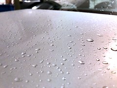 Why doesn’t rain wash cars? (282/365)