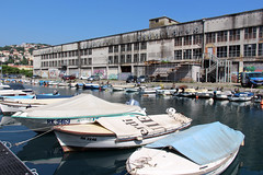 Rijeka - Exportdrvo