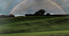 2 for 1 on pots of Gold