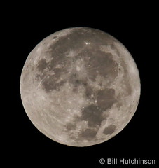 October 13, 2019 - The rising moon. (Bill Hutchinson)