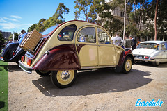 Motorclassica 2019 Melbroune • <a style="font-size:0.8em;" href="http://www.flickr.com/photos/54523206@N03/48898286528/" target="_blank">View on Flickr</a>