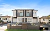 113 Wyong St, Canley Heights NSW