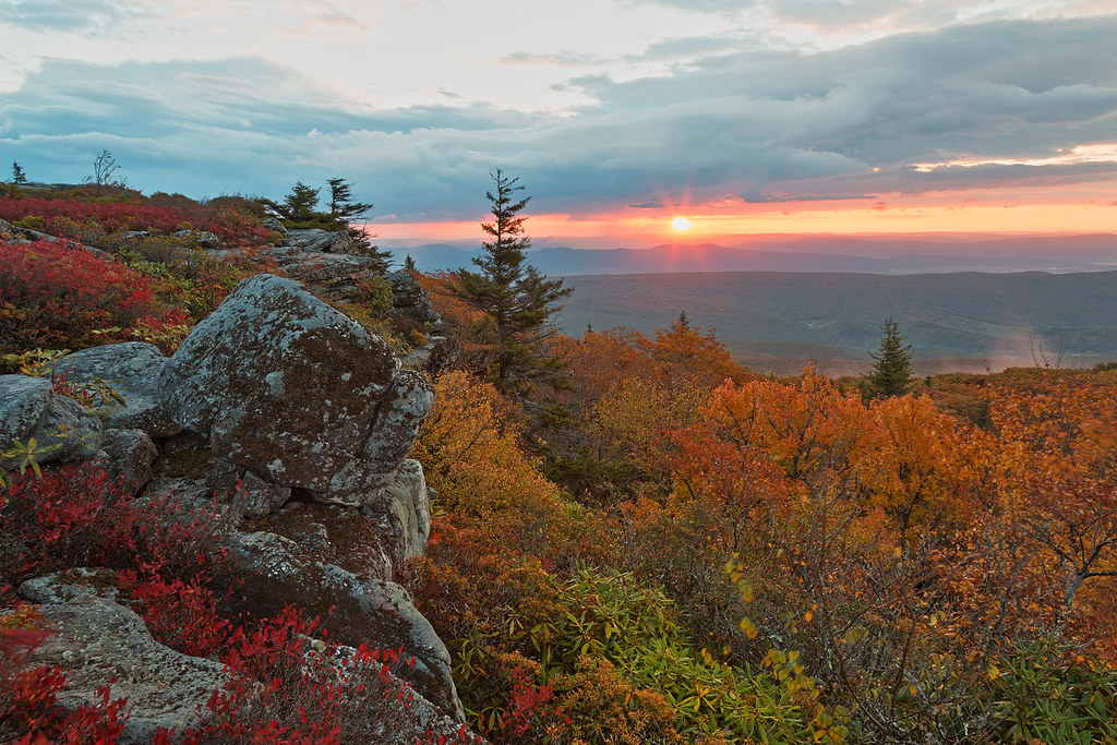 Dolly Sods Wilderness Area<
