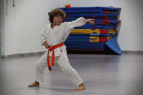 Karate, From FlickrPhotos