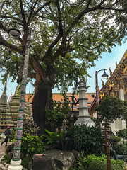 Wat-Pho-Bangkok-Храм-Лежащего-Будды-9112