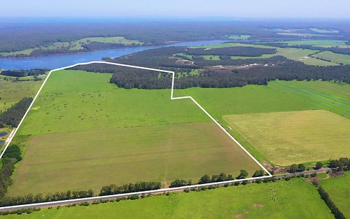 1190 Greenwell Point Road, Pyree NSW 2540