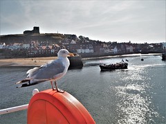 Classic Seaside. Whitby, North Yorkshire.