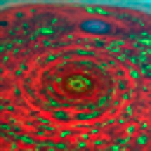 Saturn's North Pole, VIMS Infrared - November 27 2012