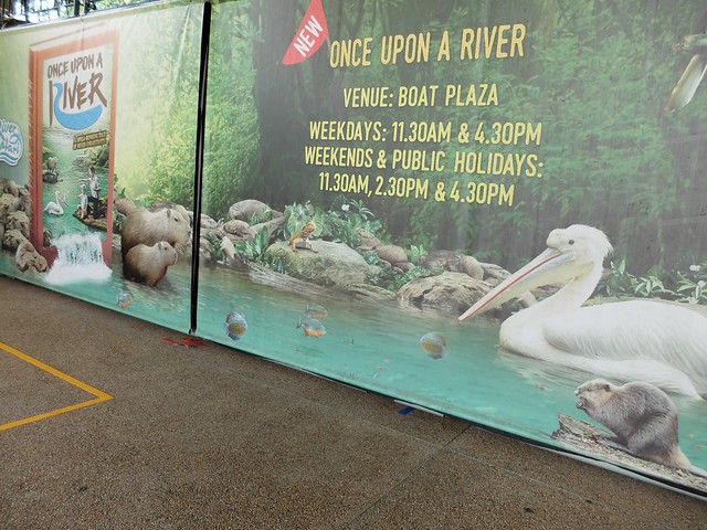 新加坡動物園_River Safari 2019_A_84