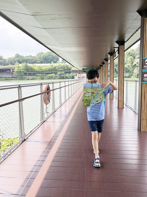 新加坡動物園_River Safari 2019_B_68