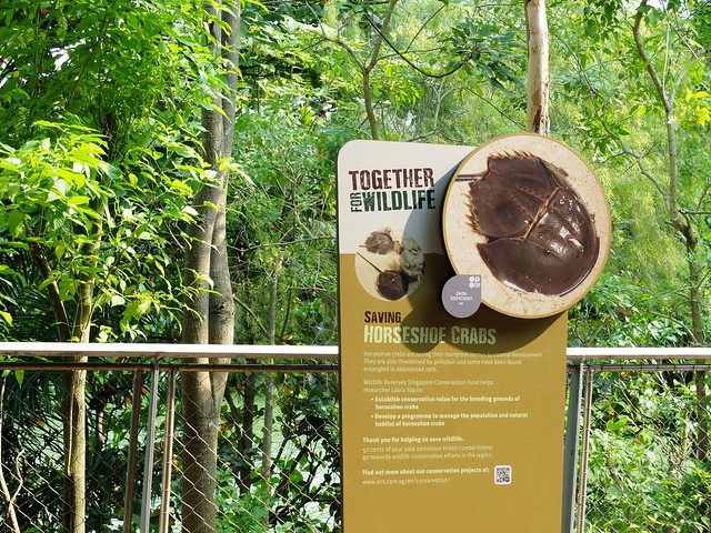 新加坡動物園_River Safari 2019_A_102