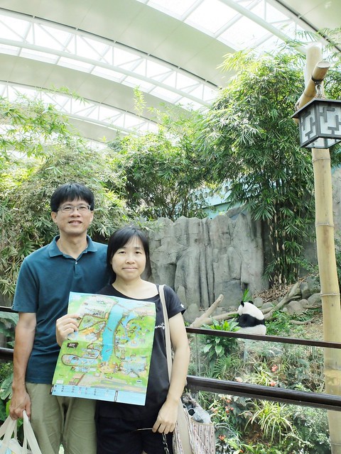新加坡動物園_River Safari 2019_A_79