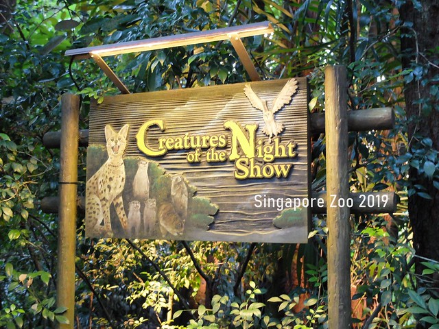 新加坡動物園_River Safari 2019_A_9
