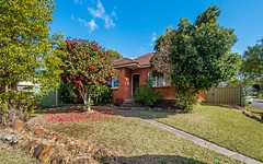 23 Moore Street, Canley Vale NSW