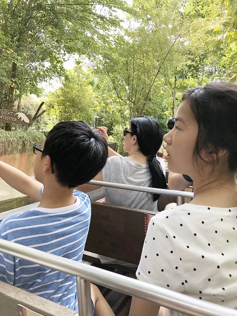 新加坡動物園_River Safari 2019_B_73