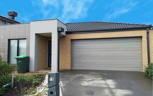 75 Terrene Terrace, Point Cook VIC 3030