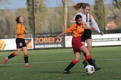 HBC Voetbal • <a style="font-size:0.8em;" href="http://www.flickr.com/photos/151401055@N04/48972975921/" target="_blank">View on Flickr</a>