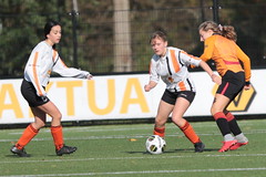 HBC Voetbal • <a style="font-size:0.8em;" href="http://www.flickr.com/photos/151401055@N04/48973151622/" target="_blank">View on Flickr</a>