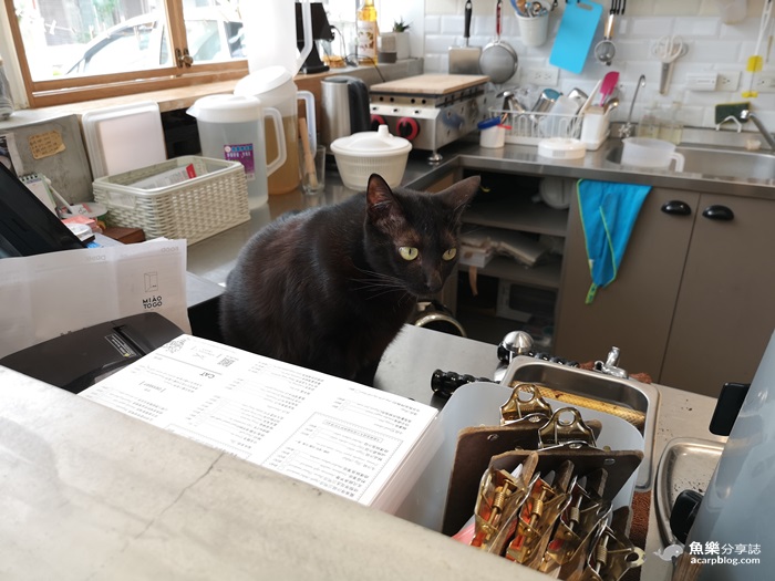 【高雄前金】外帶一隻貓 Miao To GO｜超療癒貓咪網美咖啡館 @魚樂分享誌