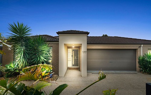 177 Hall Rd, Carrum Downs VIC 3201