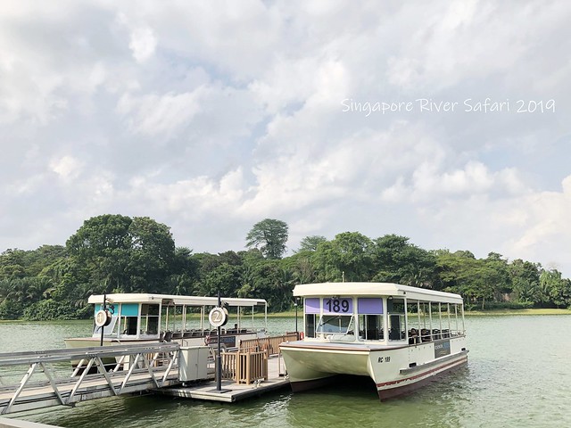 新加坡動物園_River Safari 2019_B_102