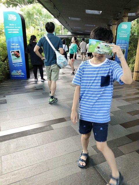 新加坡動物園_River Safari 2019_B_170